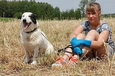 Oreo młody piesek potrzebuje cierpliwego i kochają