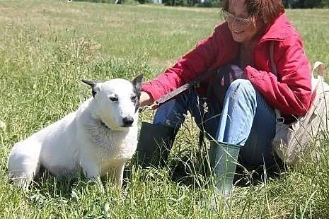 Oreo młody piesek potrzebuje cierpliwego i kochają