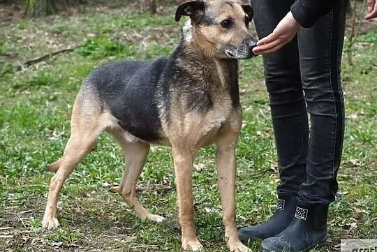 Bardzo kocham ludzi chciałbym aby i mnie ktoś pokochał, Wielkopolskie, Poznań