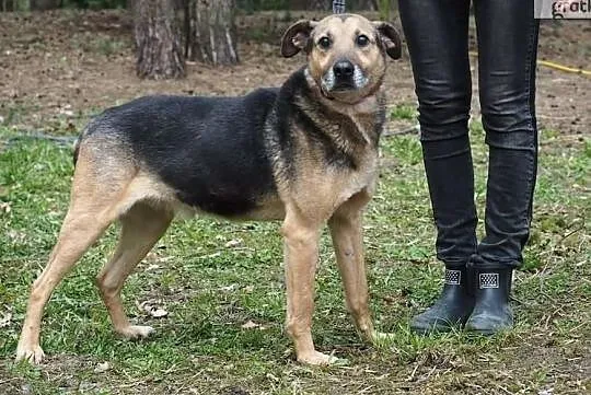 Bardzo kocham ludzi chciałbym aby i mnie ktoś pokochał, Wielkopolskie, Poznań