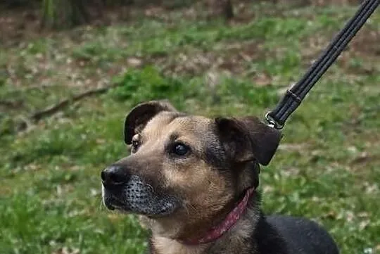 Bardzo kocham ludzi chciałbym aby i mnie ktoś pokochał, Wielkopolskie, Poznań
