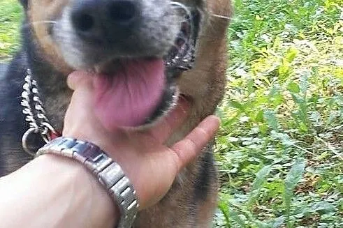 Bardzo kocham ludzi chciałbym aby i mnie ktoś pokochał, Wielkopolskie, Poznań