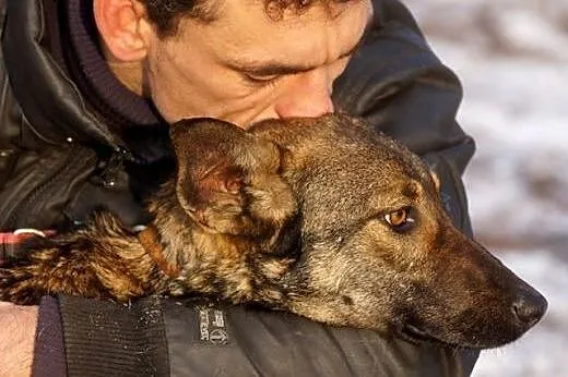 Tola łagodna suczka szuka domu!,  Kundelki cała Po