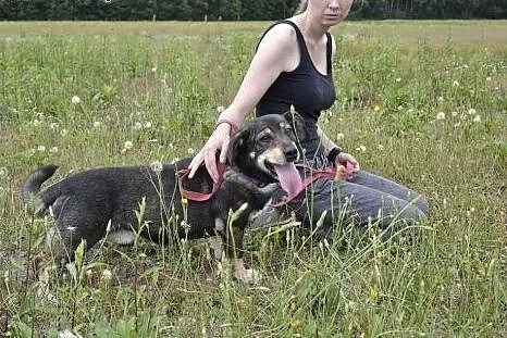 Fasterek kocha ludzi, to wesoła iskiereczka w ogro