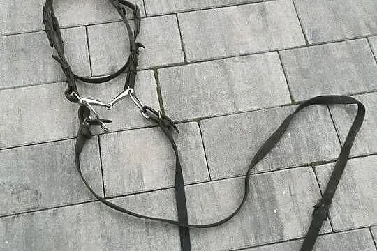 Siodło dla konia z akcesoriami, Wielkopolskie, Gniezno