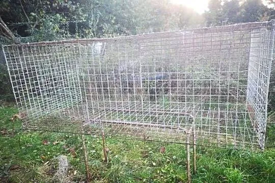 Klatka dla królika kaczka kura, Zachodniopomorskie, Sławno