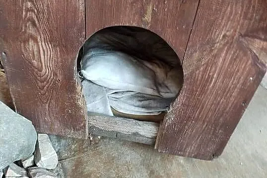 Buda dla pieska, Lubelskie, Kaniwola