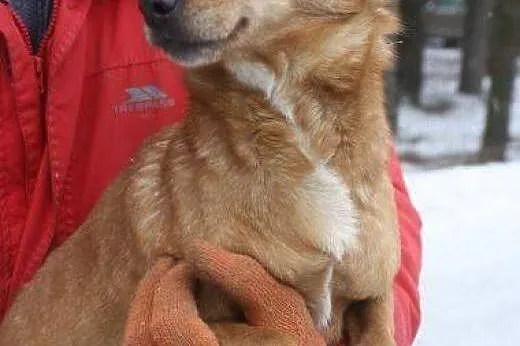 Ala cudowna sunia kocha ludzi daj jej domek na jak