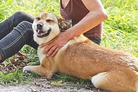 Bunia - Pokaż jej lepszy świat, adoptuj...,  Kunde