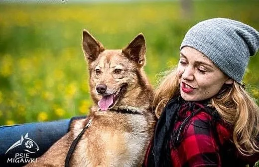 W przystani Twojej nie pomiń NOVEJ:), świętokrzys