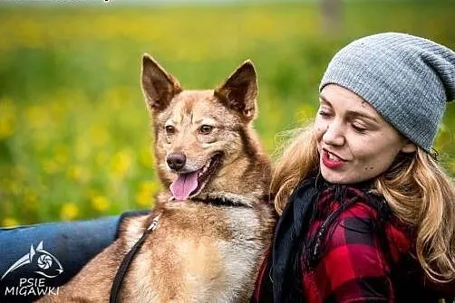 W przystani Twojej nie pomiń NOVEJ:),  świętokrzys