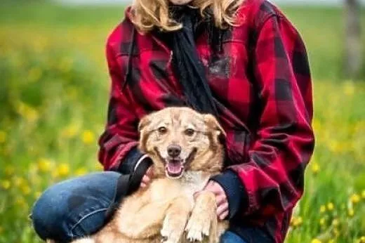 Jestem słodka i wybitna; romantyczna także jestem.