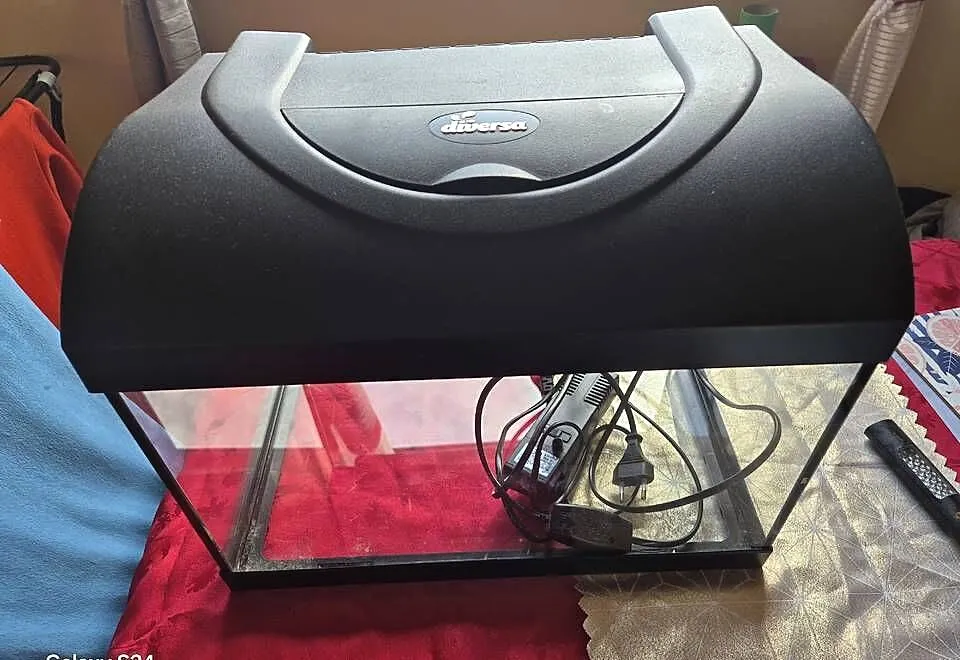 Sprzedam akwarium 25l, Lubuskie, Żary