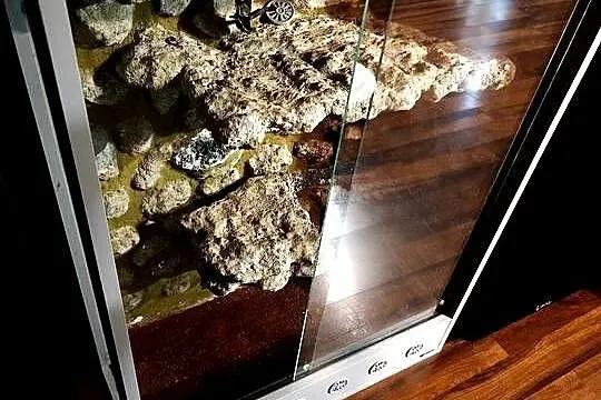 Terrarium wysokie 70/100/36