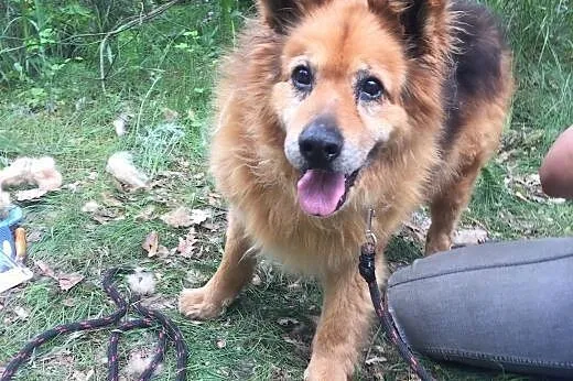 Staruszek Rudolf, za kratami 7 lat.,  Kundelki cała Polska