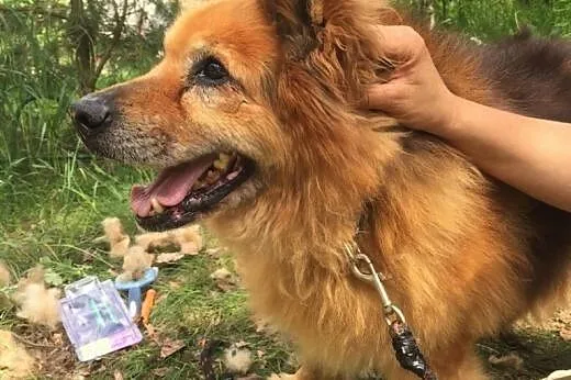 Staruszek Rudolf, za kratami 7 lat.,  Kundelki cała Polska, 