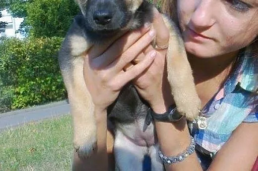 Sunia z pudła do adopcji!!!,  łódzkie Łódź