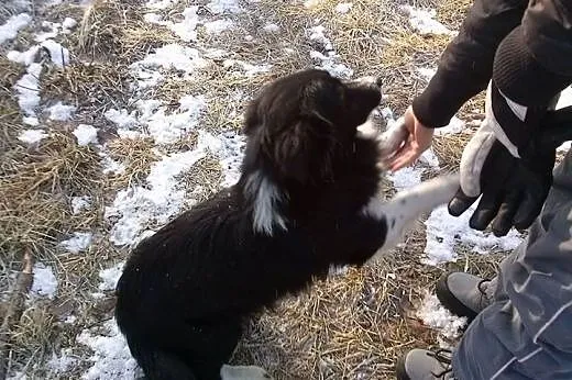 Kacperek .. czy ktoś się oprze jego urokowi? ,  ma