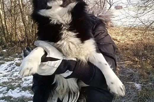 Kacperek .. czy ktoś się oprze jego urokowi? ,  ma