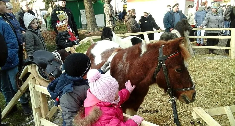 Sprzedam Kuca, Podkarpackie, Broniszów