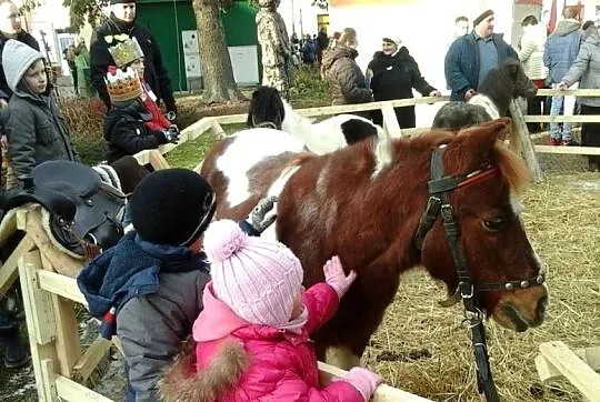 Sprzedam Kuca, Podkarpackie, Broniszów