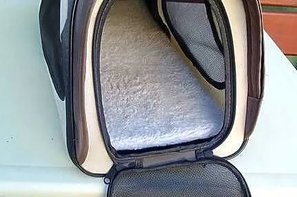 TRANSPORTER DLA PSA KOTA KRÓLIKA PUPILA TORBA LEGOWISKO BOX, Zachodniopomorskie, Rewal