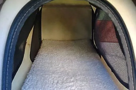 TRANSPORTER DLA PSA KOTA KRÓLIKA PUPILA TORBA LEGOWISKO BOX, Zachodniopomorskie, Rewal