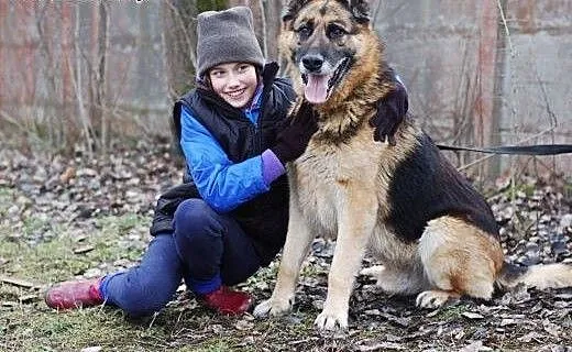 King - nie traci nadziei na dom., pomorskie Gdańs