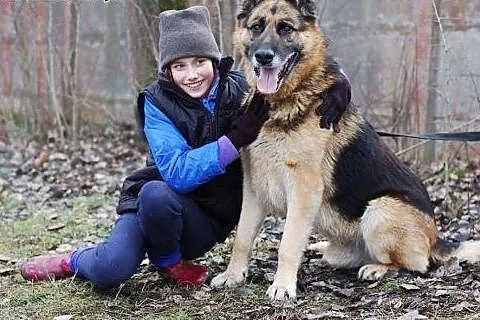 King - nie traci nadziei na dom.,  pomorskie Gdańs