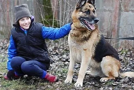 King - nie traci nadziei na dom.,  pomorskie Gdańs