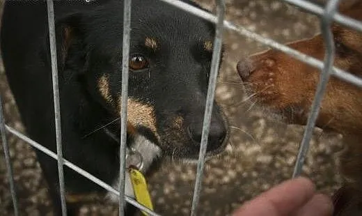 Kto pokocha wrażliwą duszyczkę? Mania czeka w schr