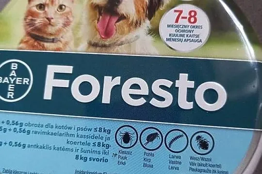 Obroza foresto nowa