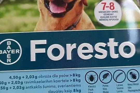 Obroza foresto nowa, Małopolskie, Nowy Sącz
