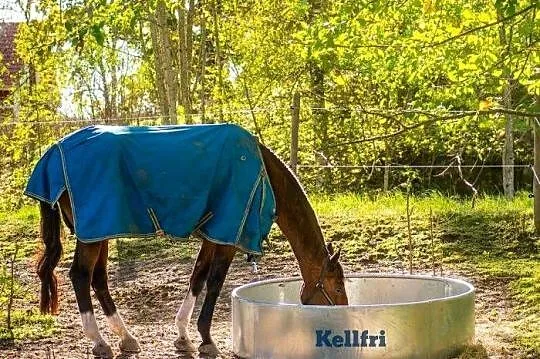 Paśnik dla koni i bydła, Ø1,8 m, 4-częściowy