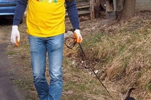 Maleńki Kanguś znaleziony w lesie czeka na dobry d