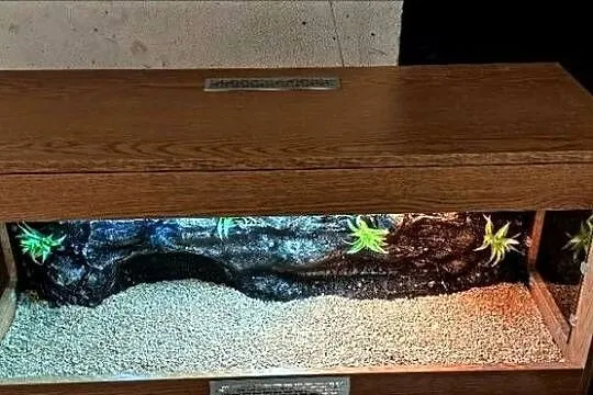 Terrarium od Egzo Systems dla żółwia greckiego gekona lamparciego