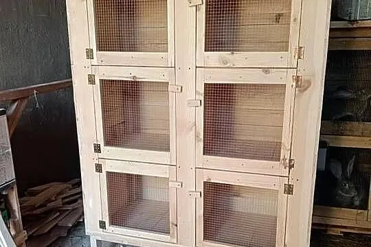 Klatki dla królików na zamówienie
