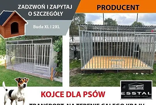 Kojec dla Psa , KOJCE dla Psów ,Klatka - ESSTAL