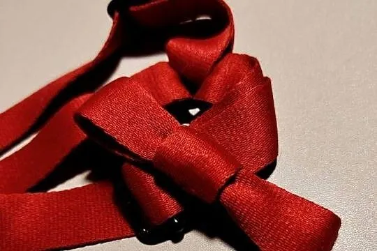Ręcznie szyty czerwony zestaw spacerowy dla psa, Mazowieckie, Płochocin