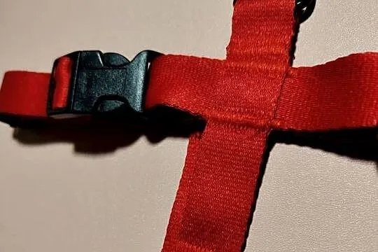 Ręcznie szyty czerwony zestaw spacerowy dla psa, Mazowieckie, Płochocin