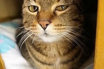 Tigra......,  łódzkie Łódź