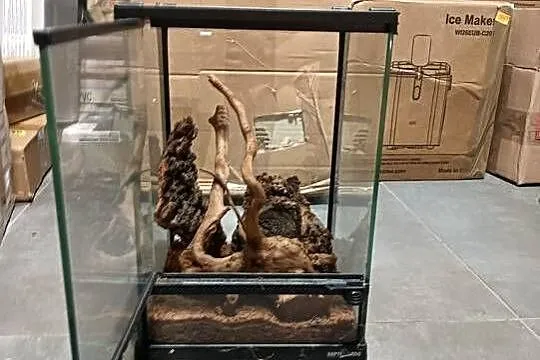 |•Terrarium firmy Repti-Zoo•|