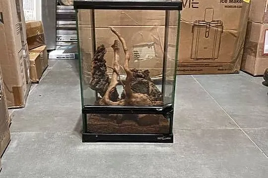 |•Terrarium firmy Repti-Zoo•|, Łódzkie, Przygłów