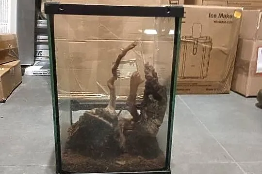|•Terrarium firmy Repti-Zoo•|, Łódzkie, Przygłów