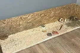 Wybieg dla gryzoni