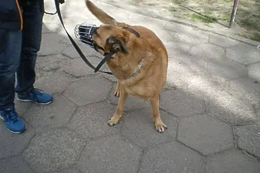 Moja Pani umiera,a ja dostaje lanie za to ze nasik