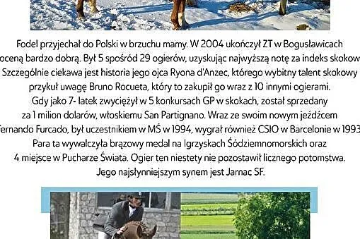 Stanówka ogierem Fodel xo, , 