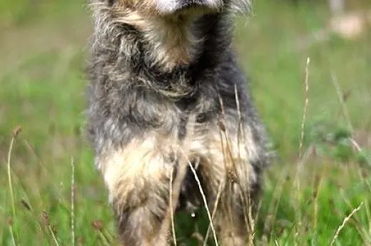 Gandalf Szary :),  warmińsko-mazurskie Olsztyn