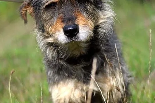 Gandalf Szary :),  warmińsko-mazurskie Olsztyn