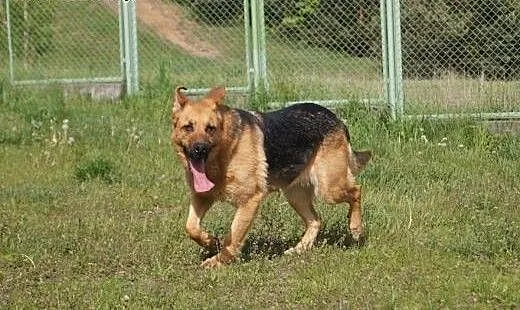 Karen.Czasami wolałabym żyć samotnie..., kujawsko